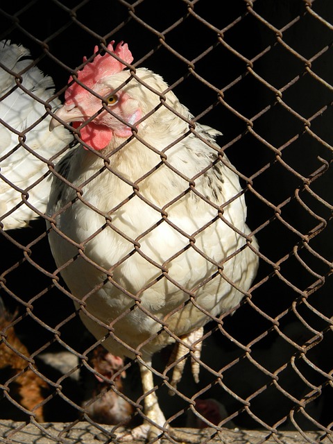 自然不能被 自然不能被