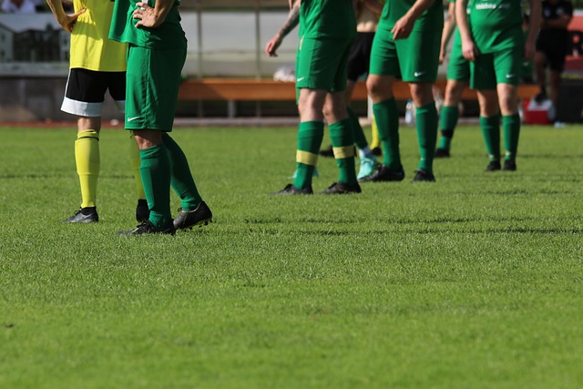 熟悉的土壤 熟悉的土壤