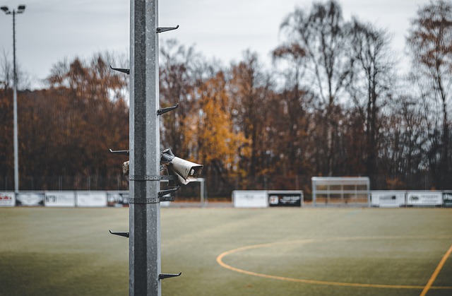 奋与感动 奋与感动