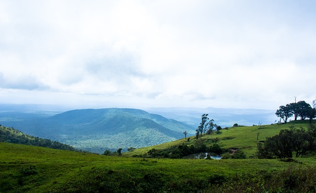劲和活力无 劲和活力无
