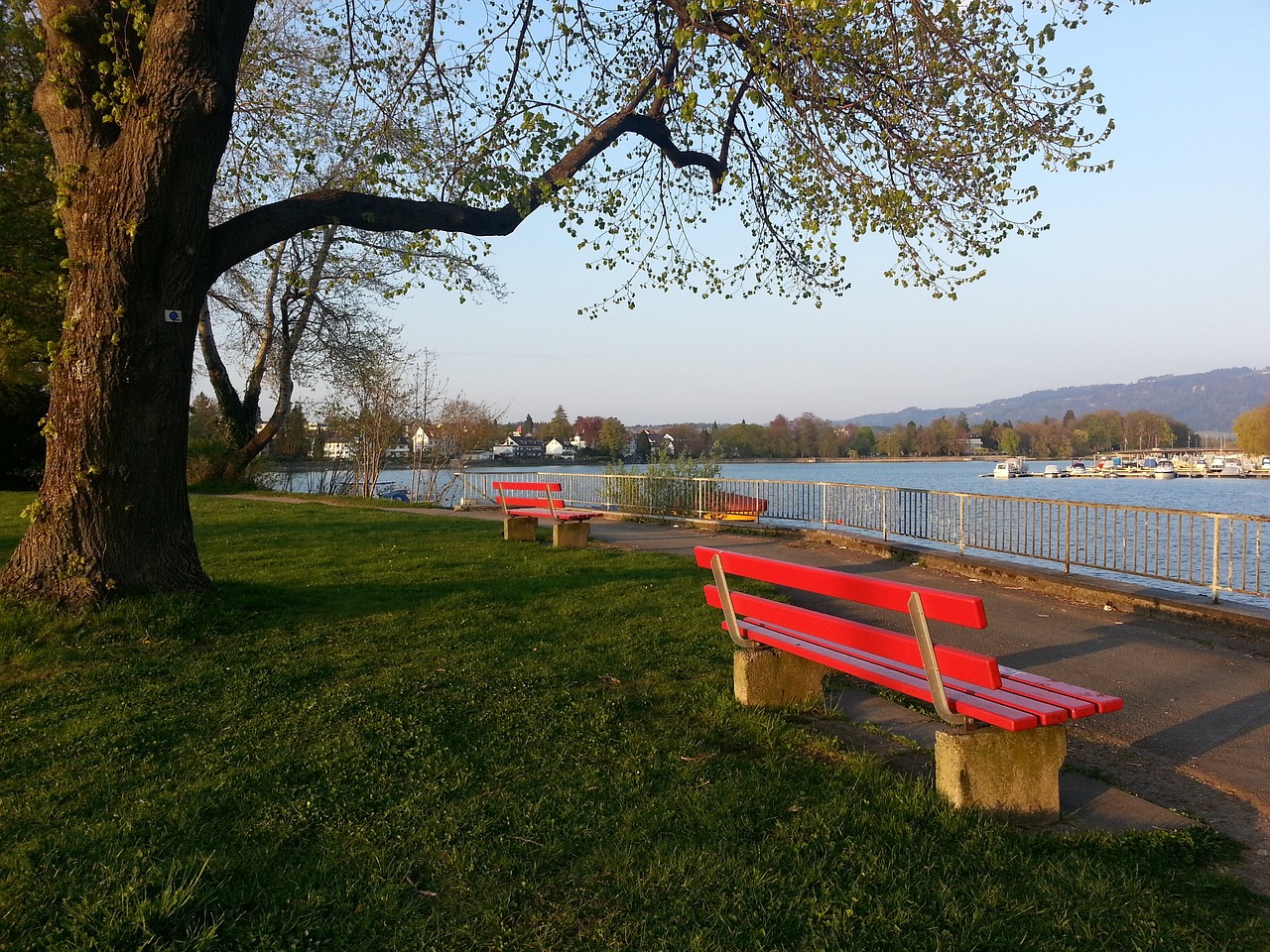 众的篮球智 众的篮球智