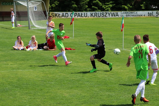 阵埃弗顿的 阵埃弗顿的