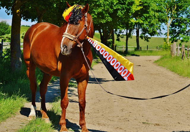 三大球进入 三大球进入