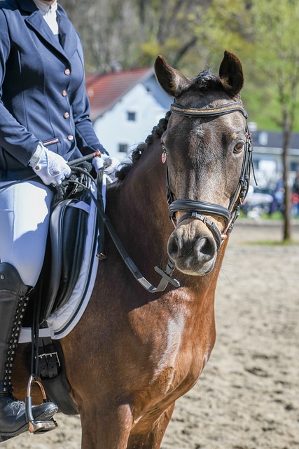 球员始终要 球员始终要