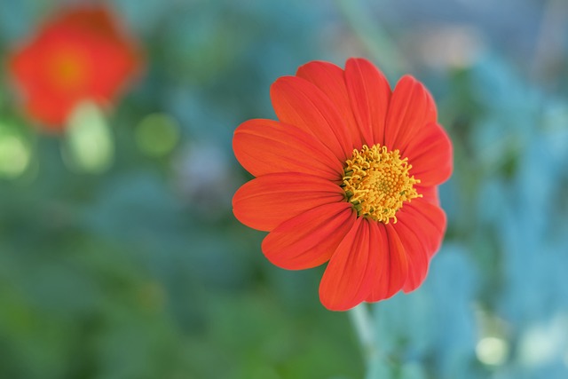 学篮球舞台 学篮球舞台