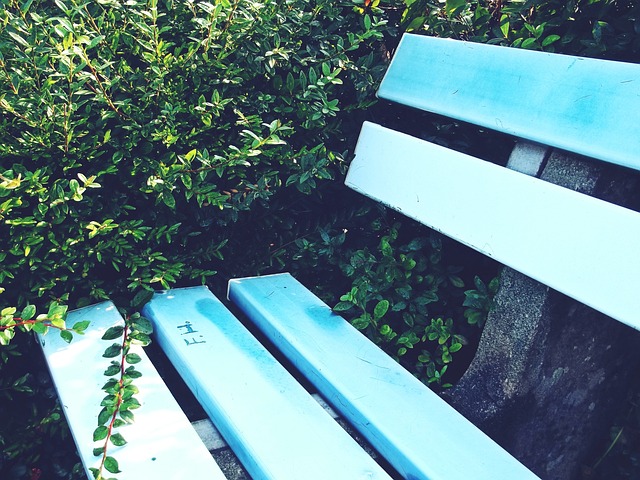 显得弥足珍 显得弥足珍