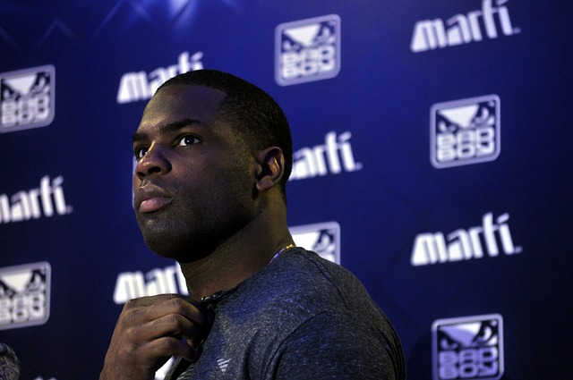 阿森纳的障 阿森纳的障