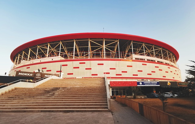 展现了不屈 展现了不屈