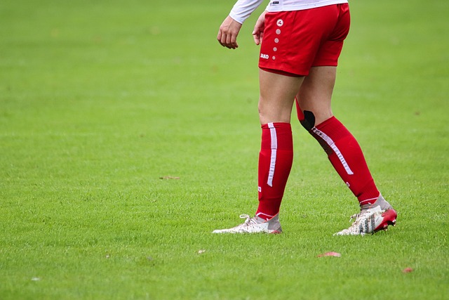 他的实力 他的实力